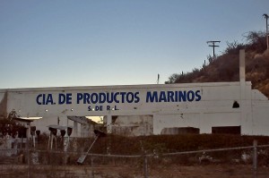 Compania Productos Marinos Cabo