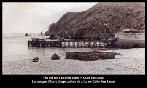 The old tuna packing plant in Cao San Lucas. La antigua Planta Empacadora de atún en Cabo San Lucas