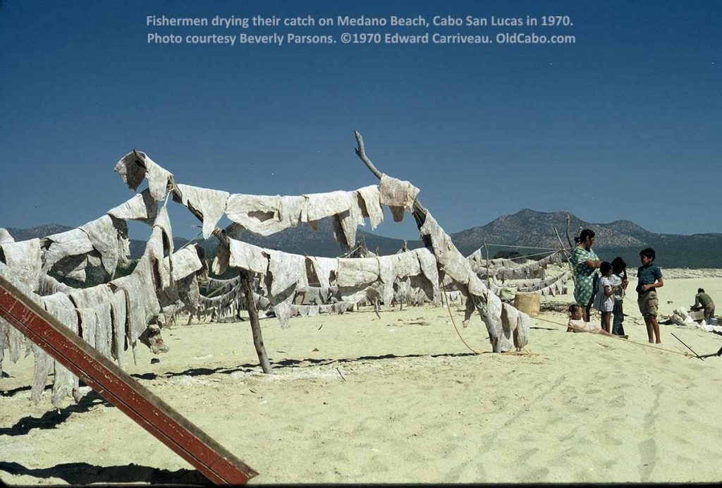 Fishermen drying their catch on Medano Beach Cabo San Lucas 1970